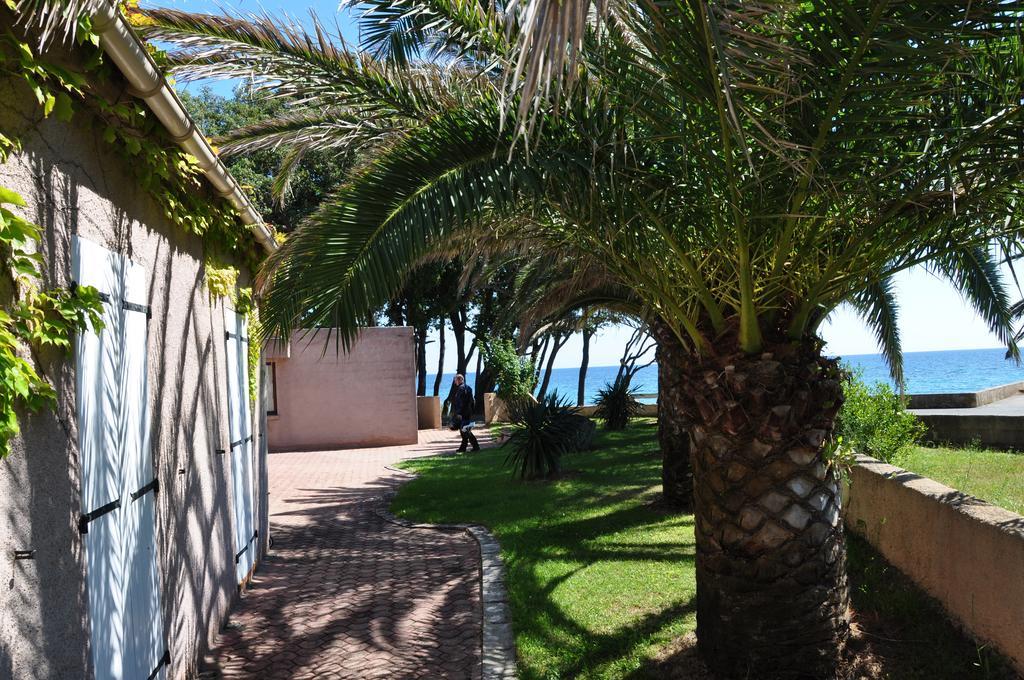 Sole E Mare Santa-Maria-Poggio (Corsica) Exterior foto