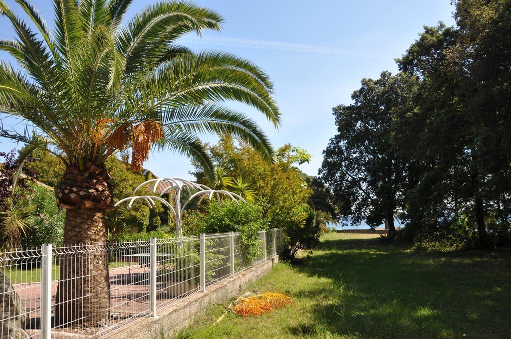 Sole E Mare Santa-Maria-Poggio (Corsica) Exterior foto